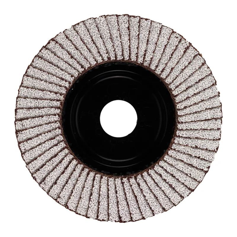 Fächerschleifscheibe 125 mm SL50 K120