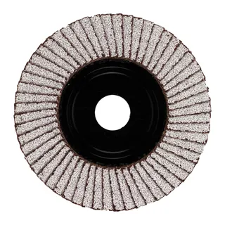 Fächerschleifscheibe 125 mm SL50  K120