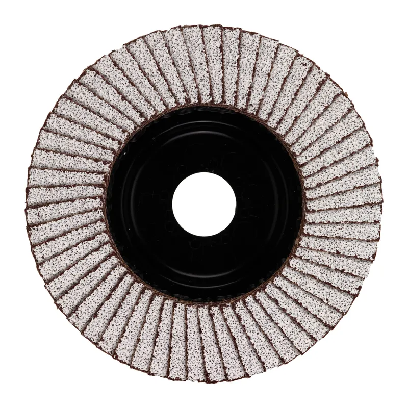 Fächerschleifscheibe 125 mm SLC50 K40