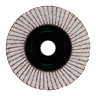 Fächerschleifscheibe 125 mm SLC50 K40