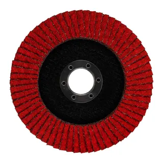 Fächerschleifscheibe XL 115 mm K40