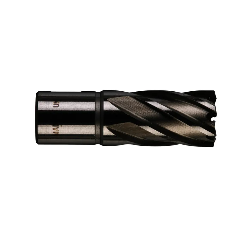 HSS Kernlochbohrer, kurz 20 x 30 mm