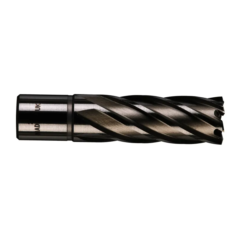 HSS Kernlochbohrer, lang 20 x 50 mm