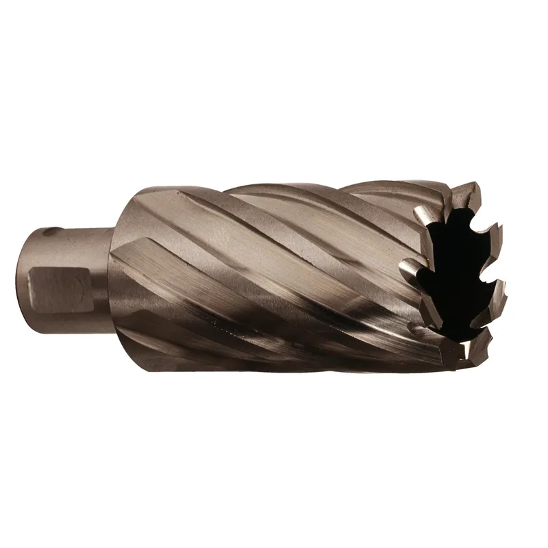 HSS Kernlochbohrer, lang 30 x 50 mm