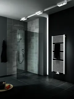 Kermi WALK-IN PASA XP TWG 1200x 2000 BV: 1170-1200 SIMG ESG Opaco Clean