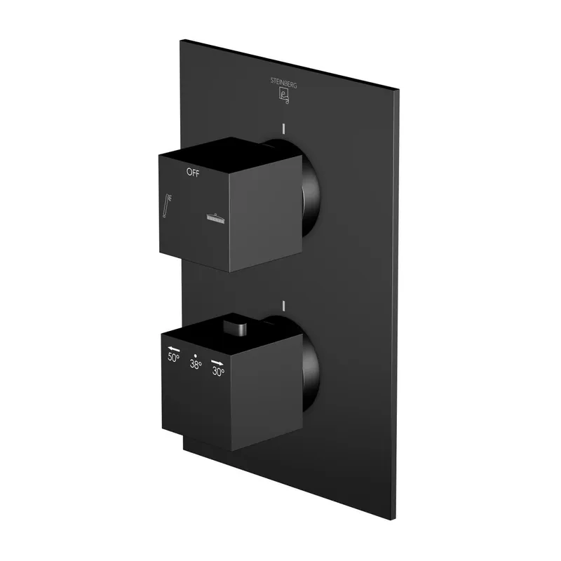 Steinberg FMS für Unterputzthermostat 160 4133 3 S, matt black