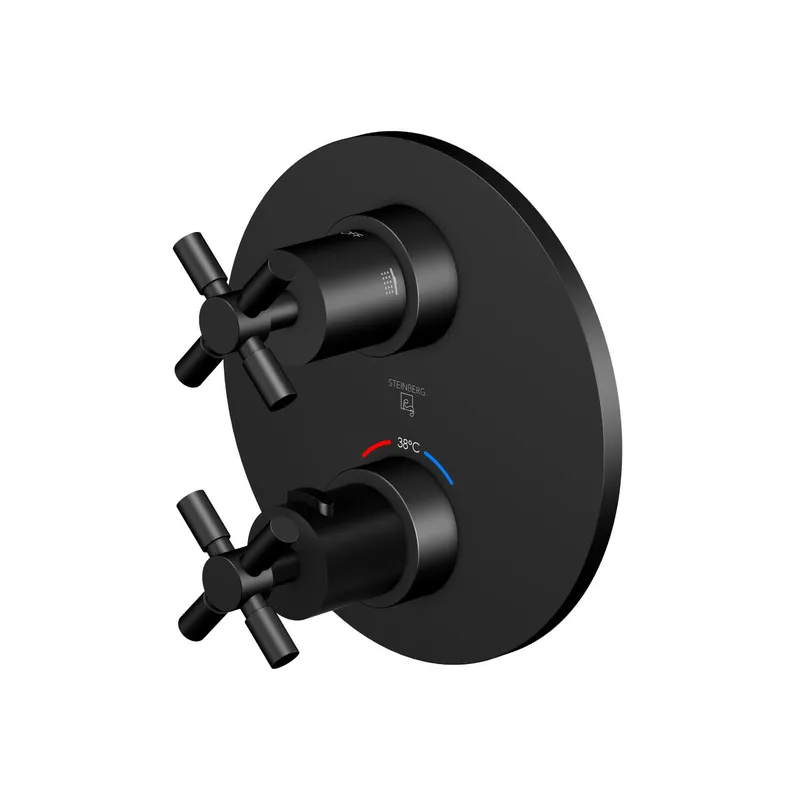 Steinberg FMS für Unterputzthermostat 250 4133 3 S, matt black