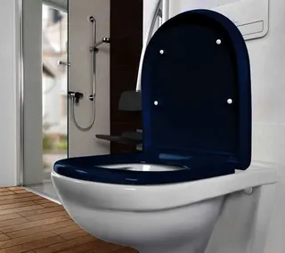Villeroy & Boch T-WC ViCare ViCare 4601R0 360x700x 344mm ov wandh Abg. waagr DF we Alpin c+ – Bild 4