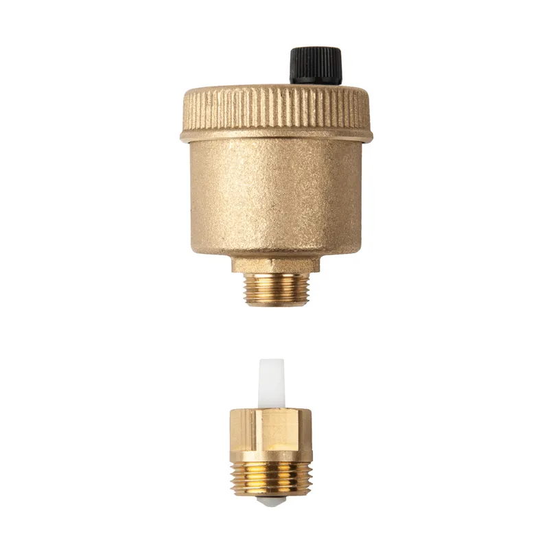 WATTS Schnellentlüfter INTERVENT mit RIA INT10 R15 K10 1/2"