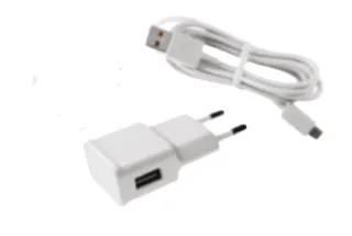 WATTS Vision USB-Netzteil mit Kabel 100-240V / 5V 0,5A