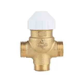 WATTS Zonenventil 3131 31311P, DN 25, 1" AG, Kvs 4,5