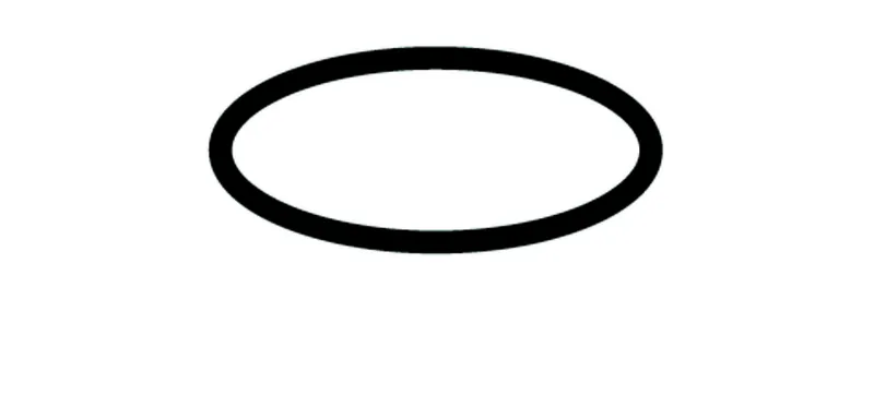 SCHELL O-Ring für Spülerhaube SCHELLTRONIC/SCHELLMATIC