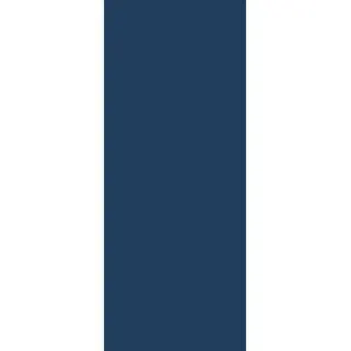 DS WV 6 mm PanElle 1000x2500 254: Blaugrau