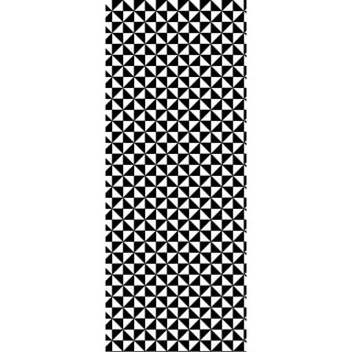 DS WV 6 mm PanElle 1000x2500 733: Trigon 90