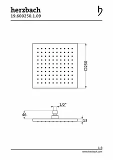 LIVING SPA Regenbrause 250x250mm Edelstahl – Bild 2