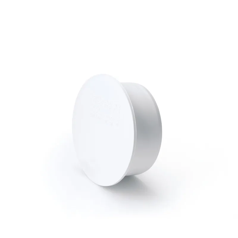 RAUPIANO PLUS Muffenstopfen DN 40