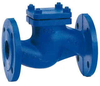 KSB Flanschen-Rückschlagventil BOA-R Gehäuse aus GJL-250, PN16 DN 15