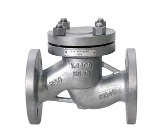 KSB Rückschlagventil BOACHEM RXA, DN 80 PN 10/16, Werkstoff 1.4408