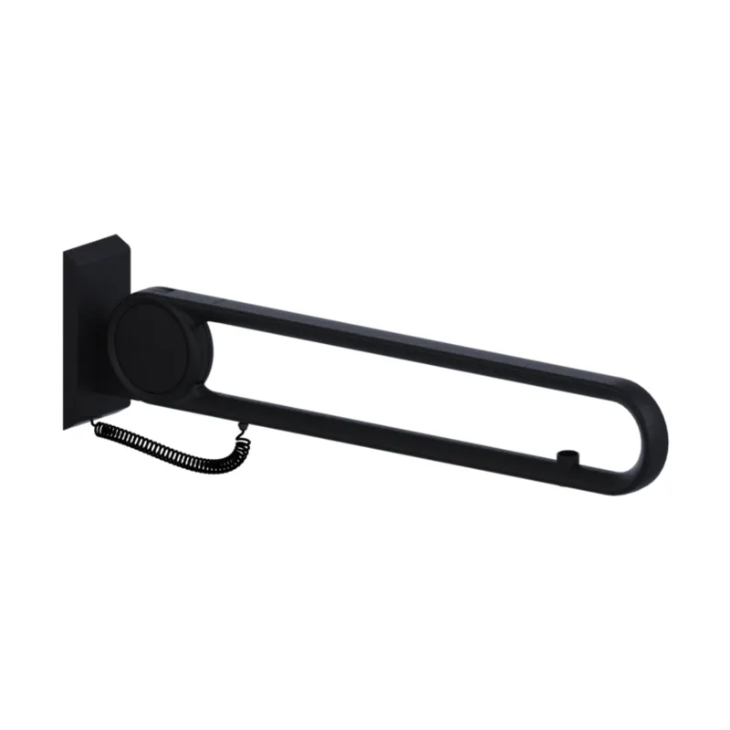 Normbau Cavere Care Stützklappgriff 7447882 Anthrazit-Metallic
