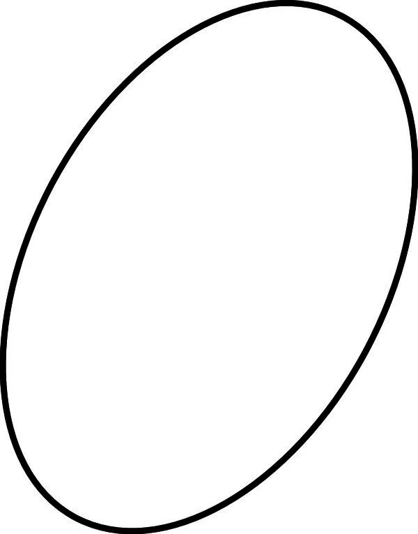 IS O-Ring (912622)
