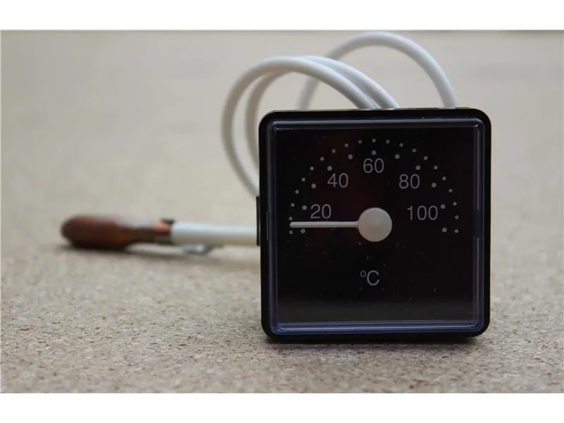 Vaillant Thermometer