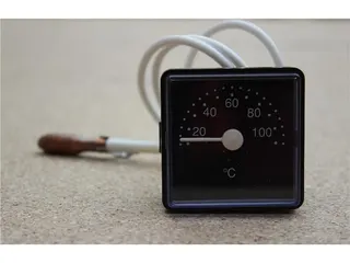 Vaillant Thermometer
