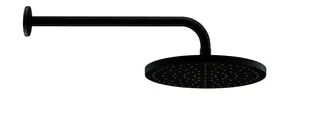 DU Brausearm L 410mm, Wandmontage Rosette Rund, Schwarz Matt