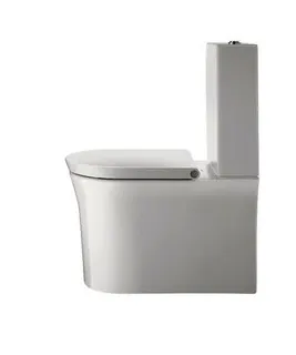Duravit SWC Kombi White Tulip, 650mm, Weiß rimless, Tiefspüler, HYG
