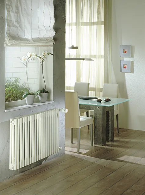 Zehnder Element-Heizkörper Charleston Austausch 2056-32 558x62x1472 RAL 9016