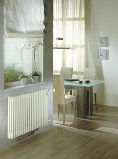 Zehnder Mehrsäuler Charleston 2060 RAL 9016 12 Glieder L/H/T: 552/600/62mm