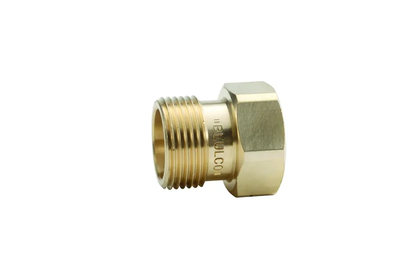 Beulco Verlängerungsstück IG x AG 11/4"x11/4"