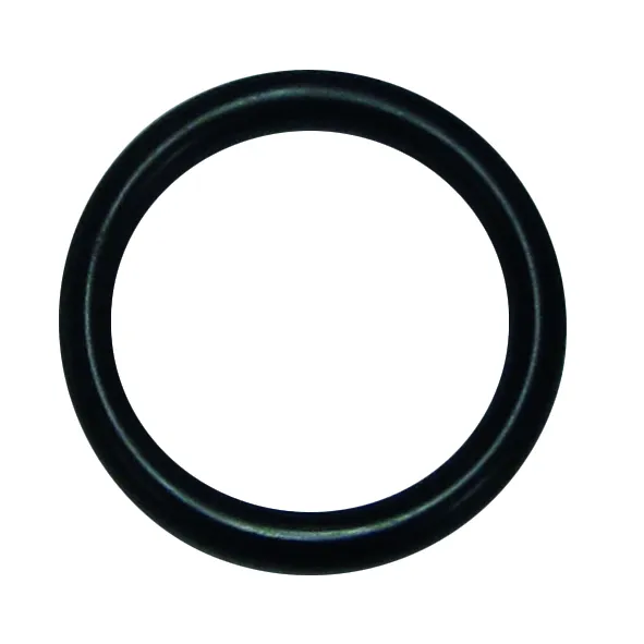 Beulco O-Ring 25x4