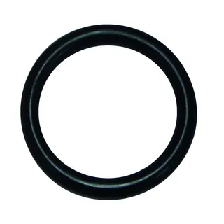 Beulco O-Ring 25x4