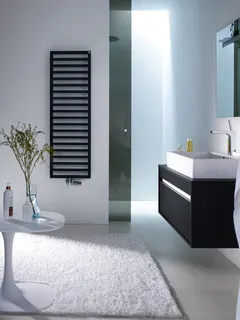 Zehnder Design-Heizkörper Quaro QAI-100-045 971x30x450, Edelstahl – Bild 3