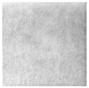 Ersatzfilterpack für Saphir 2/FSA, 5er Pack