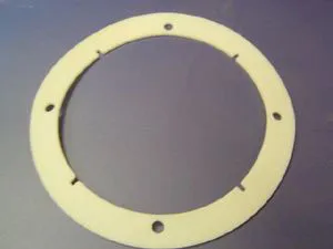 RE Dichtung 300002824