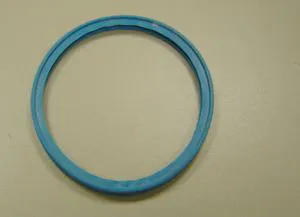 RE Lippendichtung D.100 97930219