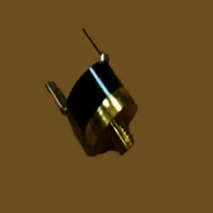 Remeha Tempbegrenzer Bimetal 105 300029470