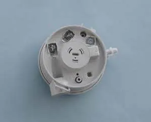 Remeha Differenzdruckwächter Huba 605.99772 S100613