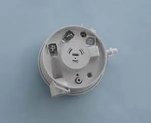 Remeha Differenzdruckwächter Huba 605.99772 S100613