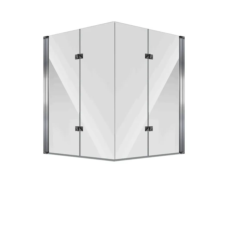 Koralle Falttür SL450 BF2A R 100 985-1000x1400 Silber matt ESG trans.