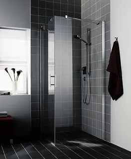 Kermi Seitenwand Filia XP TWD 0750x 1850 BV: 725-750 SIHG ESG klar