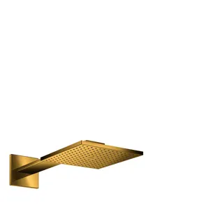 Hansgrohe Kopfbrause 250/250 2jet Axor PGO mit Brausearm