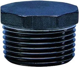 gebog316 Edelstahl-Gewindefitting 290 - Sechskant-Stopfen 2"