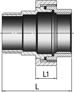 gebog316 Edelstahl-Gewindefitting 341 - Verschraubung konisch 2" – Bild 3