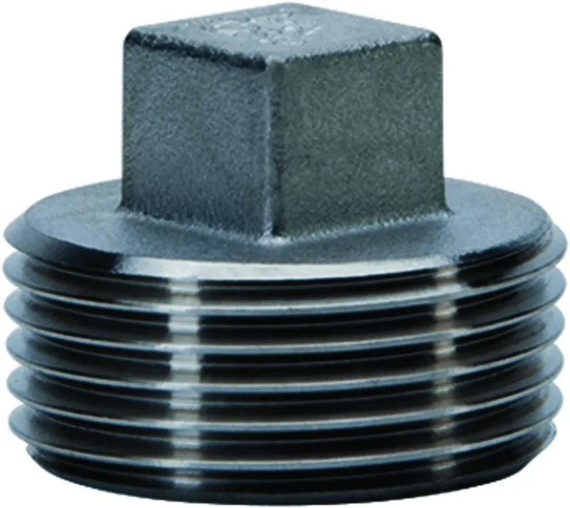 gebog316 Edelstahl-Gewindefitting 291 - Vierkant-Stopfen ohne Rand 2"