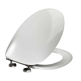 WC-Sitz P2000 m.Deckel Weiß Spezialscharnier, univ., Edelstahl