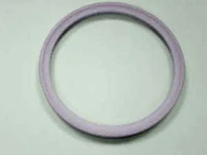 Remeha Dichtung DN 70 Kesselanschluß DPSM 7797919