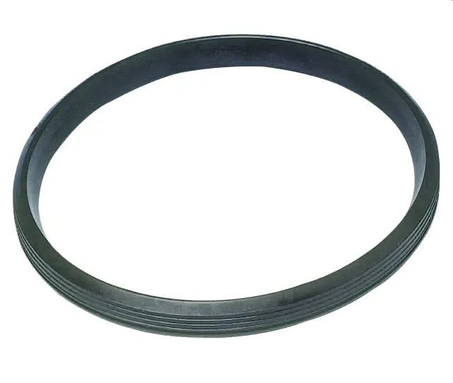 AS-Ersatz-Lippen-Dichtelement DN 56 (58 mm) AS