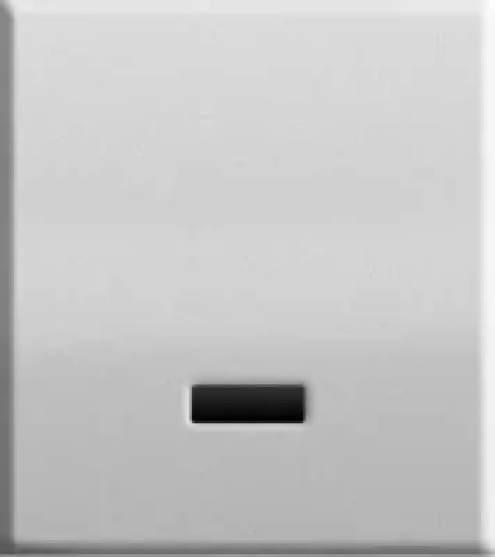 Frontplatte und Elektronik 825 Netz Edelstahl
